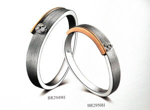 這個(gè)冬季的品質(zhì)之選2010秋冬珠寶精品巡展(組圖)