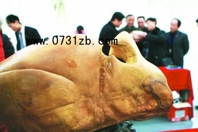 巨型&ldquo;玉兔&rdquo;奪人眼球。