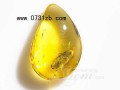 天然琥珀：凝結(jié)大自然精華的神秘寶石