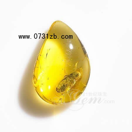 天然琥珀：凝結(jié)大自然精華的神秘寶石