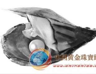 水產(chǎn)學(xué)院教授揭底大連不產(chǎn)珍珠
