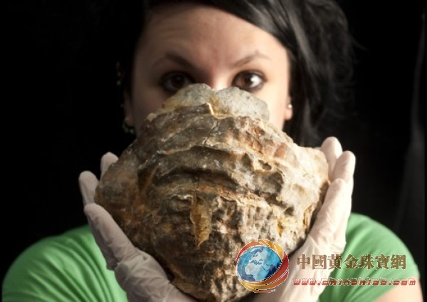 英國漁民發(fā)現(xiàn)1億年前巨型牡蠣化石 或隱含巨型珍珠