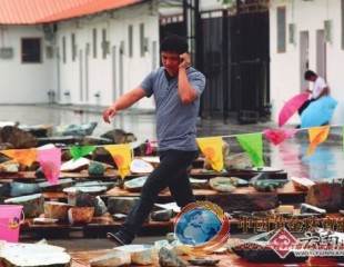 芒市第二屆珠寶玉石（毛料）投標(biāo)交易會(huì)落幕