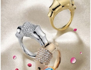 香港金六福珠寶 10年發(fā)展碩果累累