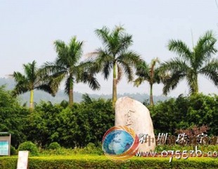 依托區(qū)位優(yōu)勢(shì) 打造高端珠寶文化產(chǎn)業(yè)園