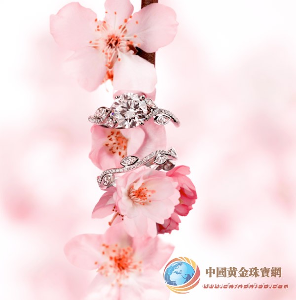 點(diǎn)擊圖片查看下一頁