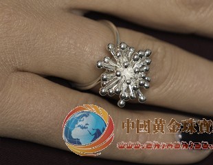 3D打印會(huì)否加劇藝術(shù)和珠寶首飾的造假現(xiàn)象