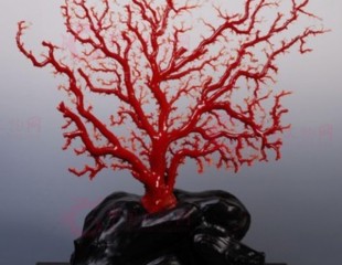 臺(tái)灣此次有史以來(lái)“最大規(guī)模、最國(guó)際化”的珠寶展