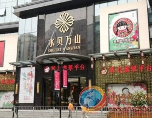 顛覆翡翠銷售模式，翠花新零售亮劍終端！