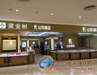 普惠金融在行動 黃金樹實物黃金較傳統(tǒng)渠道大幅降低交易成本