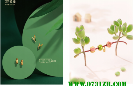 盎然添彩，舞動(dòng)夏日輕盈——老廟特別呈現(xiàn)夏季活力風(fēng)尚