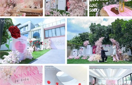 SOINLOVE年輕粉式浪漫婚禮官宣進(jìn)軍婚嫁