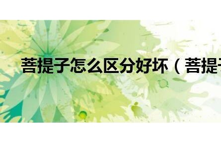 菩提子怎么區(qū)分好壞（菩提子如何挑選）