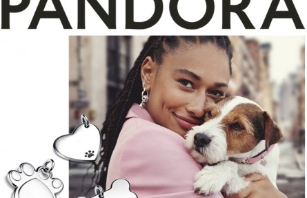 助力傳承，周大福第二季「傳」新制片人挑戰(zhàn)賽圓滿落幕