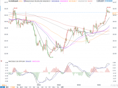OPEC+考慮至多減產(chǎn)200萬(wàn)桶，布油漲超3%重回90上方