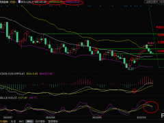 美原油交易策略：EIA攜手CPI數(shù)據(jù)來(lái)襲，油價(jià)瀕臨險(xiǎn)境