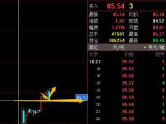 易極：美原油85.48區(qū)域做多