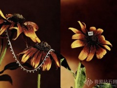 戴比爾斯（De Beers）推出 Dewdrop 系列10周年珠寶新作