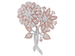 Graff（格拉夫）推出獨(dú)一款花卉粉鉆胸針