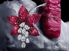 法國(guó)國(guó)家自然歷史博物館：Pierres Précieuses珠寶展