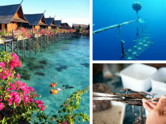 曼卡龍珠寶新品上市 珍珠元素吸引眼球