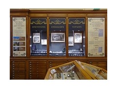 巴黎礦物學(xué)博物館新增「法國(guó)王室珠寶」展柜