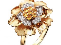 彩金是什么意思|彩金是什么材質