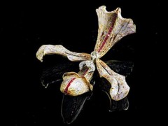 穿越時(shí)空的曠世之美 大英博物館典藏珠寶