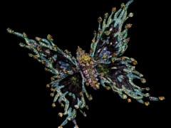 Wallace Chan 珠寶專場(chǎng)驚艷香港拍賣界