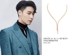 CHAUMET相伴品牌大使張藝興、歌手張靚穎現(xiàn)身活動(dòng)現(xiàn)場(chǎng)