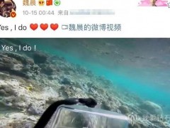 魏晨水下求婚成功，扒一扒明星們的花式求婚