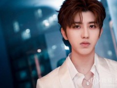 蔡徐坤佩戴海瑞溫斯頓珠寶出席活動盛典