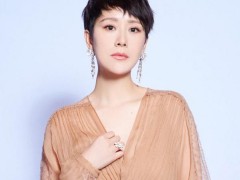 海清佩戴戴比爾斯珠寶出席盛典活動