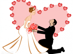 浪漫七夕節(jié) 求婚送多少朵玫瑰花？