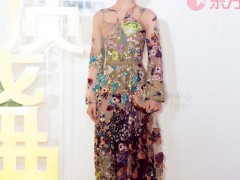 劉詩詩佩鉆石珠寶優(yōu)雅現(xiàn)身“中國電視劇品質(zhì)盛典”