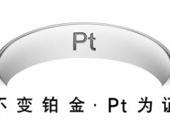 鉑金pt是什么意思|鉑金價(jià)格今天多少一克
