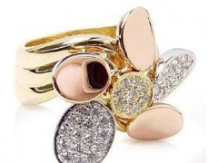 黃金功能的歷史演變過程