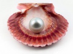 南洋珍珠、Akoya珍珠、大溪地珍珠 那個(gè)產(chǎn)地的珍珠最好？