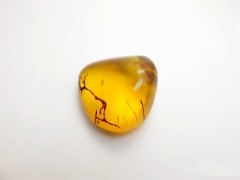 琥珀價格多少錢一克 天然真的琥珀價格及圖片