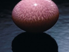 什么是海螺珍珠?海螺珍珠介紹