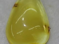 如何判斷琥珀的真假