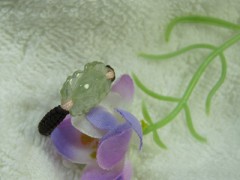 翡翠戒指保養(yǎng)常識