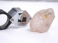 170.2ct粉鉆原石“Lulo Rose”即將公開招標(biāo)