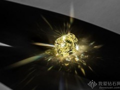 迪奧呈現(xiàn)88.88克拉黃鉆 致敬“蒙田大道三十號(hào)”