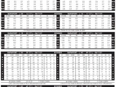 2021年6月11日最新Rapaport國際鉆石報價單（圖文）