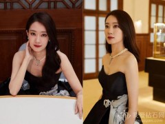 宋佳、張小斐等眾明星共赴卡地亞晚宴 見證跨越一個(gè)世紀(jì)的時(shí)光之美