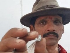 印度農(nóng)夫在地里挖出14.98克拉大鉆石，售價(jià)53.8萬(wàn)