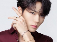 寶詩龍正式宣布林彥俊為品牌摯友