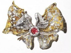 Cindy Chao（趙心綺）發(fā)布2018年度蝴蝶