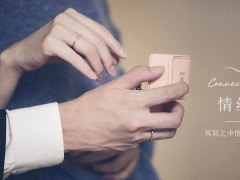 鉆石小鳥的鉑金對(duì)戒價(jià)格多少錢